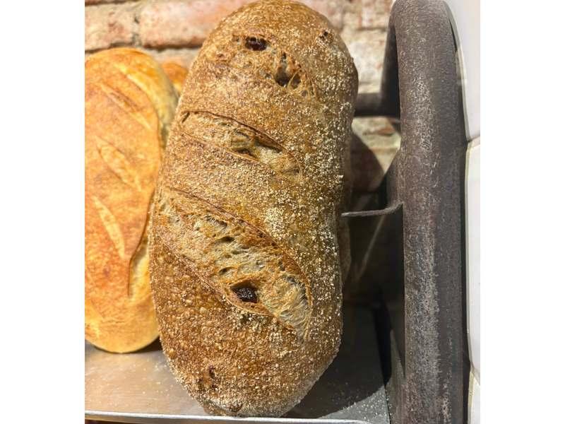 Texaslimpa